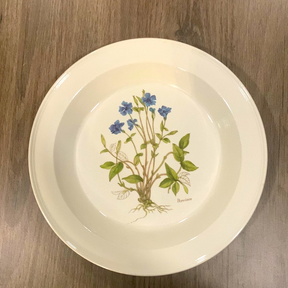 Portmeiron Serving Dish Botanic Pervinea Floral Flower Garden 10.75